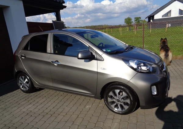 Kia Picanto cena 31900 przebieg: 85000, rok produkcji 2015 z Kraków małe 301